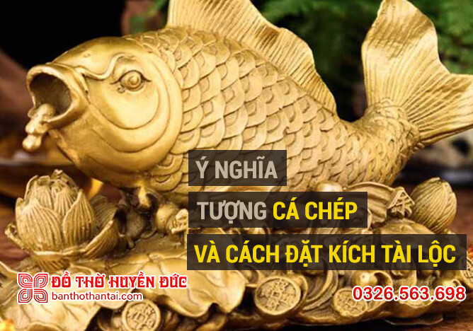 Ý nghĩa tượng cá chép trong phong thuỷ và cách đặt tượng kích tài lộc 