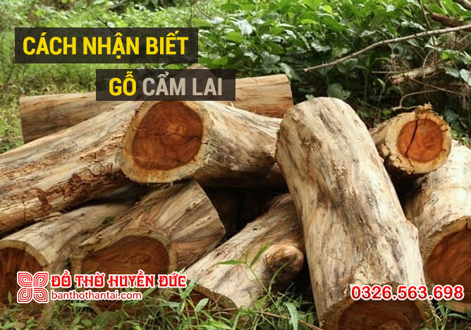 Cách nhận biết gỗ Cẩm Lai