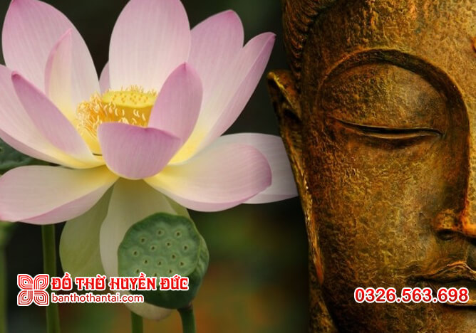 Hình tượng hoa sen trong Phật giáo