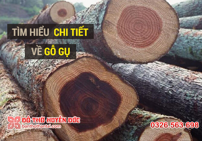Tìm hiểu chi tiết về gỗ Gụ
