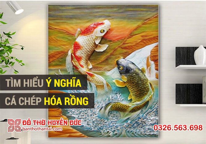 Tìm hiểu ý nghĩa cá chép hóa rồng