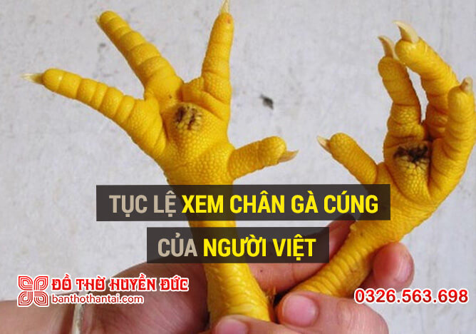 Tục lệ xem chân gà cúng của người Việt