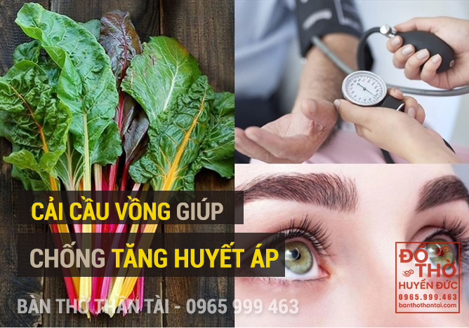 Cải cầu vồng phòng tăng huyết áp